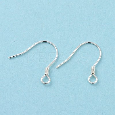 925 Sterling Silver Earring Hooks STER-D035-22S-1