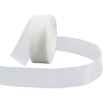 1 Rolls Sheer Organza Ribbon SRIB-CY0001-22B-03-1