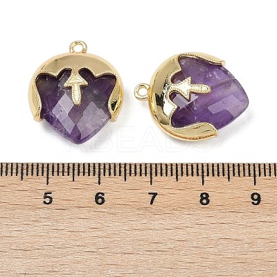 Natural Amethyst Faceted Pendants G-K347-09G-03-1