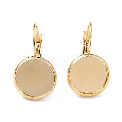 304 Stainless Steel Leverback Earring Settings STAS-F191-03G-8mm-1