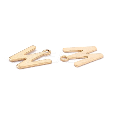 201 Stainless Steel Charms LS-STAS-C021-06G-W-1
