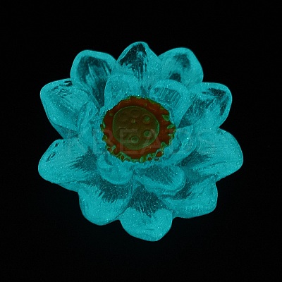 Luminous Transparent Resin Decoden Cabochons CRES-F032-B02-1