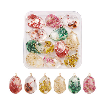 12Pcs 6 Colors Resin Pendants RESI-CD0001-08-1
