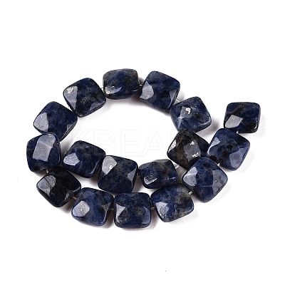 Natural Sodalite Beads Strands G-T138-169-1