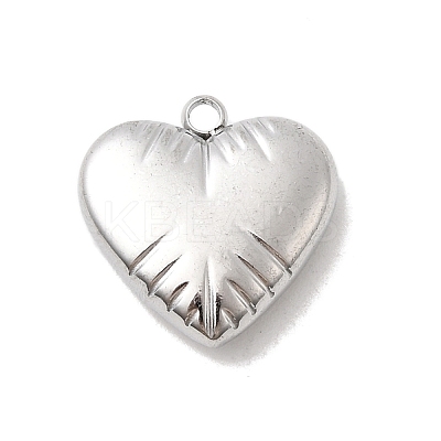304 Stainless Steel Pendants STAS-B113-04B-P-1