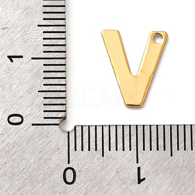 304 Stainless Steel Charms LS-STAS-B093-12G-V-1