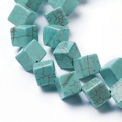 Dyed & Heated Natural Howlite Beads Strands G-F592-06-C-1