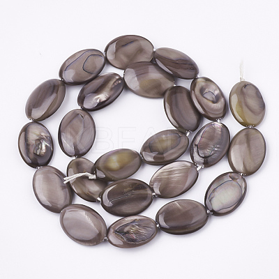 Freshwater Shell Beads Strands SHEL-S274-37A-1