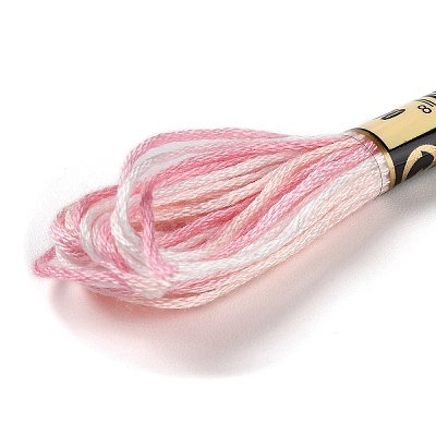 10 Skeins 6-Ply Polyester Embroidery Floss OCOR-K006-A67-1