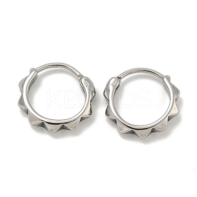 316 Surgical Stainless Steel Hoop Earrings EJEW-D096-17B-AS-1