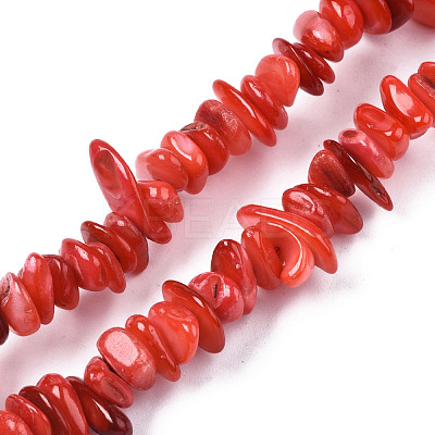 Natural Freshwater Shell Beads Strands SHEL-S278-071A-1