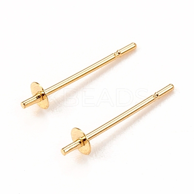 304 Stainless Steel Stud Earring Findings STAS-I167-05G-1