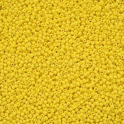 11/0 FGB Grade A Baking Paint Glass Seed Beads X-SEED-N001-A-1001-1