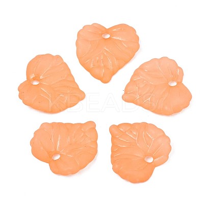 Transparent Acrylic Pendants TACR-S157-01F-1