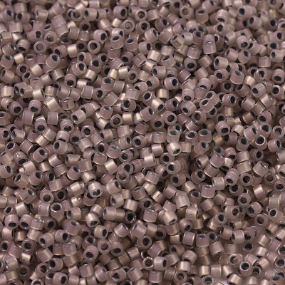 MIYUKI Delica Beads X-SEED-J020-DB0191-1