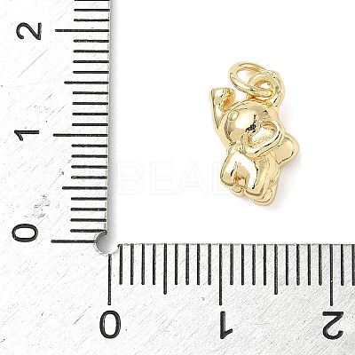 Brass Charms ZIRC-I356-04G-01-1