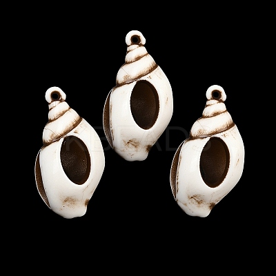 Spray Painted Opaque Acrylic Pendants ACRP-F003-03F-1