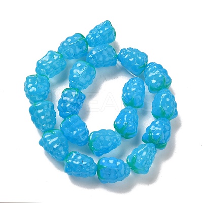 Handmade Lampwork Beads Strands LAMP-G162-05C-1
