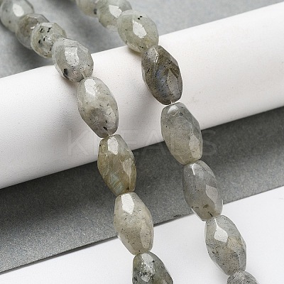 Natural Labradorite Beads Strands G-P520-C08-01-1
