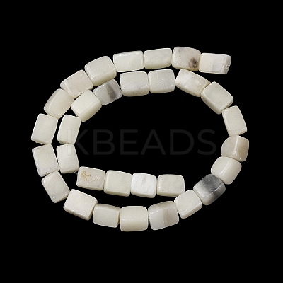 Natural White African Opal Beads Strands G-D098-D04-02-1