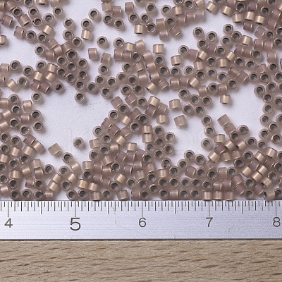MIYUKI Delica Beads X-SEED-J020-DB0191-1