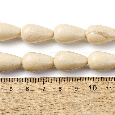 Natural Fossil Beads Strands G-F808-D01-02-1
