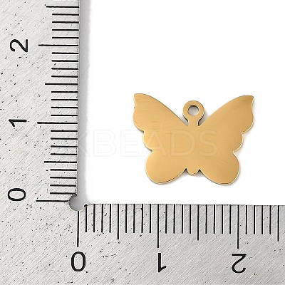 Ion Plating(IP) 304 Stainless Steel Charms STAS-M080-13G-04-1