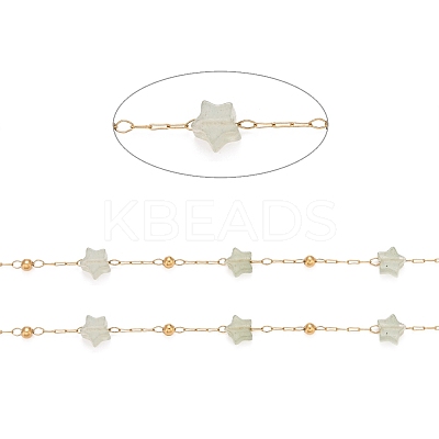 Ion Plating(IP) 304 Stainless Steel Satellite Chains CHS-G019-01G-02-1