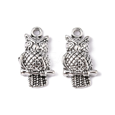 Tibetan Style Alloy Pendants LF10093Y-1