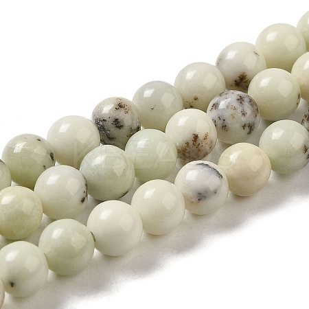 Natural Dendritic Jasper Beads Strands G-H298-A15-02-1