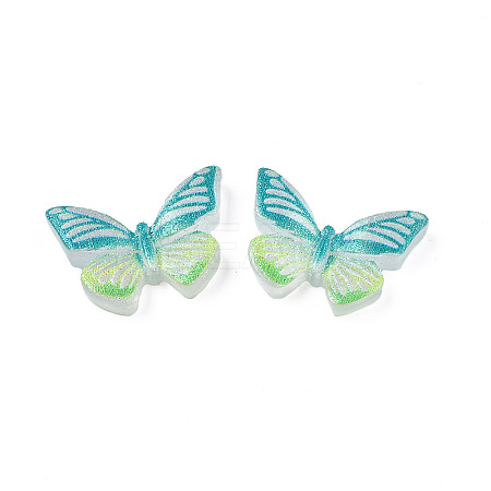 Translucent Printed Resin Cabochons LS-CRES-N021-107B-1