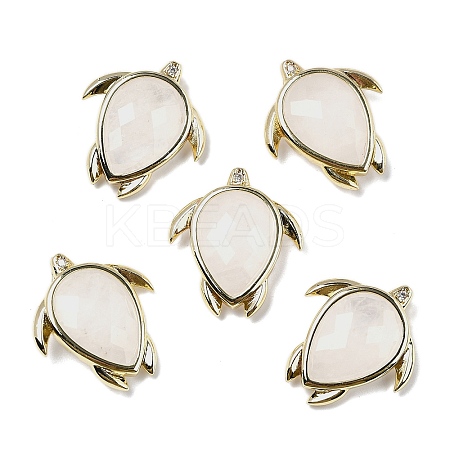 Natural Quartz Crystal Pendants G-U019-02G-01-1