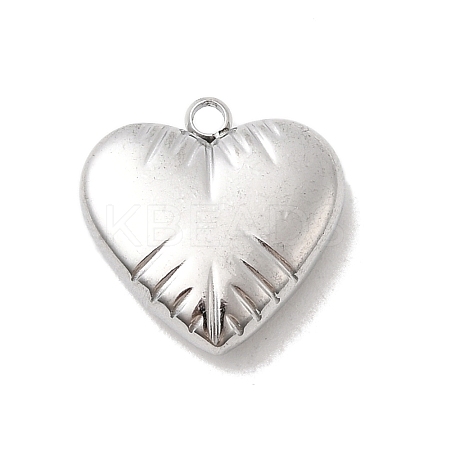 304 Stainless Steel Pendants STAS-B113-04B-P-1