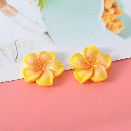 Resin Cabochon LS-CRES-WH20001-06B-1