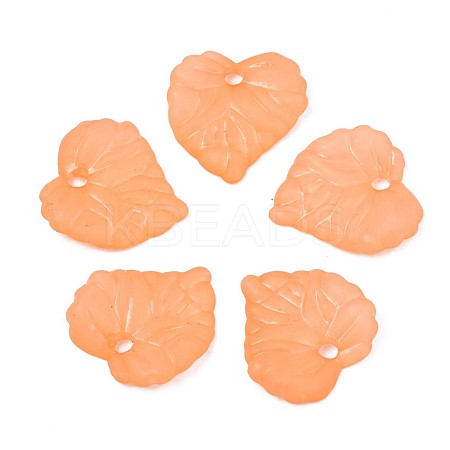 Transparent Acrylic Pendants TACR-S157-01F-1