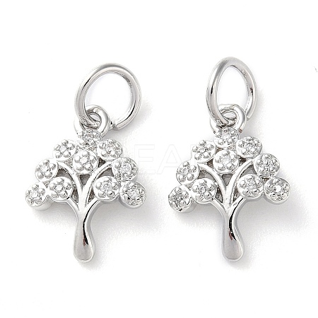 Rack Plating Brass Micro Pave Clear Cubic Zirconia Charms KK-D097-05P-1
