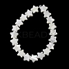 Natural Trochid Shell/Trochus Shell Beads Strands SH-CBA2978-17B-4