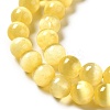 Natural Selenite Beads Strands G-P493-01F-4