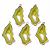 Druzy Resin Pendants LS-RESI-R428-018A-1