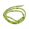 Natural Peridot Beads Strands LS-G-P457-B01-06-3