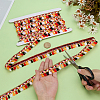 5 Yards Rainbow Color Polyester Fringe Ribbon SRIB-WR0001-16-3