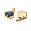 Natural Paua Shell Hexagon Charms KK-G538-30G-2