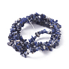 Natural Sodalite Beads Strands G-G782-31-2