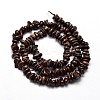 Natural Bronzite Chip Beads Strands X-G-E271-127-2