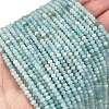 Natural Flower Amazonite Beads Strands G-L587-B06-01-1