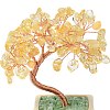 Heart Money Tree Natural Yellow Quartz Bonsai Display Decorations DJEW-G027-16RG-05-4