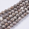 Natural Maifanite/Maifan Stone Beads Strands G-I187-4mm-01-2