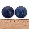 Natural Lapis Lazuli Dyed Cabochons G-Q184-01G-3