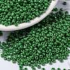 MIYUKI Round Rocailles Beads SEED-G008-RR0431-1
