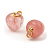 Cherry Quartz Glass Teacher Apple Charms G-Z022-02M-G-2